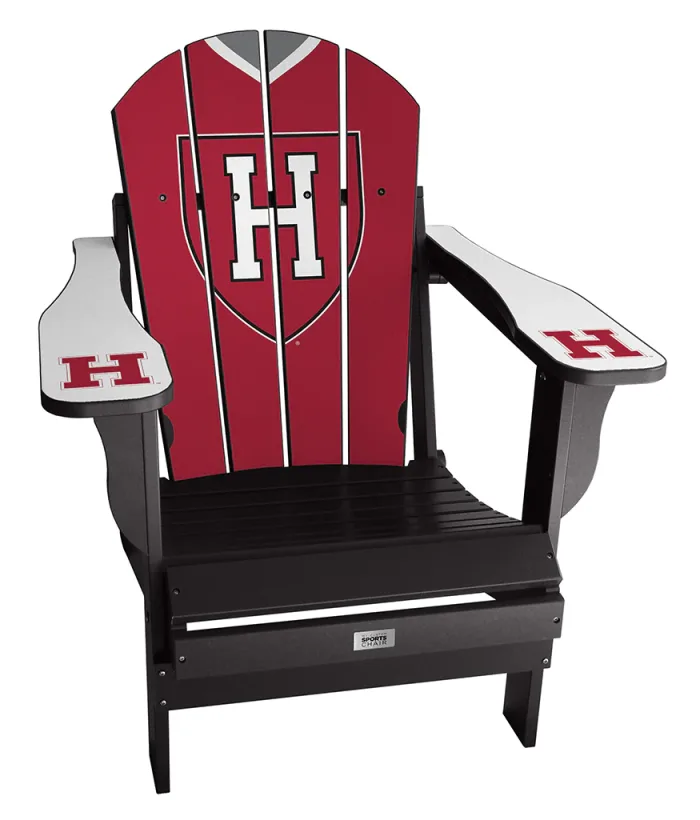 Harvard University Jersey Chair - Image 3