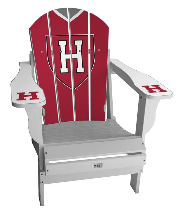 Harvard University Jersey Chair - Image 4